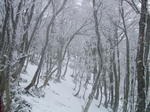 DSCF3592.JPG