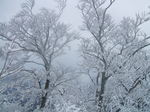 DSCF3594.JPG