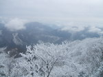 DSCF3595.JPG