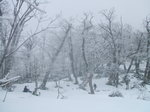DSCF3599.JPG
