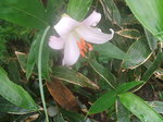 DSCF3828.JPG