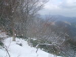 DSCF4593.JPG