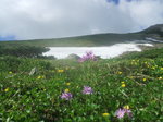DSCF5083.JPG