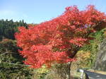DSCF6833.JPG