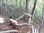DSCF7345.JPG