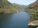 DSCF7610.JPG