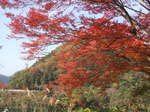 DSCF7611.JPG