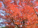 DSCF7614.JPG