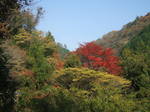 DSCF7615.JPG