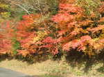 DSCF7619.JPG