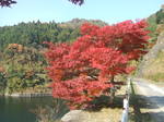 DSCF7625.JPG