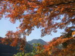 DSCF7629.JPG