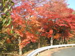 DSCF7643.JPG