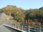 DSCF7648.JPG