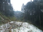 DSCF7993.JPG