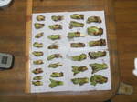 DSCF8009.JPG