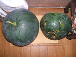 DSCF8310.JPG
