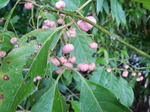 DSCN0037.JPG