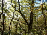 DSCN0092.JPG