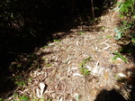 DSCN0093.JPG