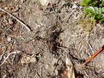 DSCN0095.JPG