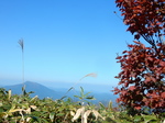 DSCN0142.JPG