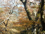 DSCN0165.JPG