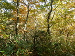 DSCN0170.JPG