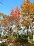 DSCN0181.JPG