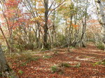 DSCN0199.JPG