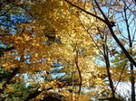 DSCN0272.JPG