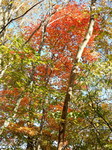 DSCN0277.JPG