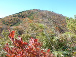 DSCN0298.JPG