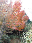 DSCN0309.JPG