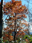 DSCN0316.JPG