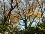 DSCN0320.JPG