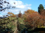 DSCN0328.JPG