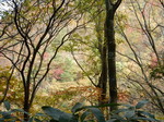 DSCN0341.JPG