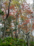 DSCN0348.JPG