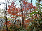DSCN0355.JPG