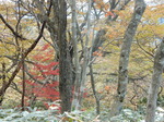 DSCN0358.JPG