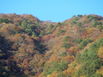 DSCN0371.JPG