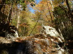 DSCN0449.JPG