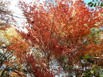 DSCN0471.JPG