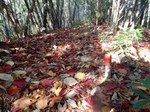 DSCN0480.JPG