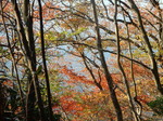 DSCN0483.JPG
