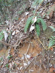 DSCN0494.JPG