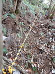 DSCN0495.JPG