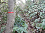 DSCN0496.JPG