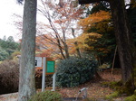 DSCN0498.JPG